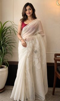 Dastkari Pure Organza Saree With Handwork Embroidery — view 1
